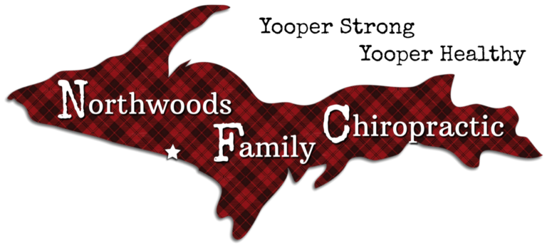 Northwoods Family Chiropractic Logo PNG 768x348