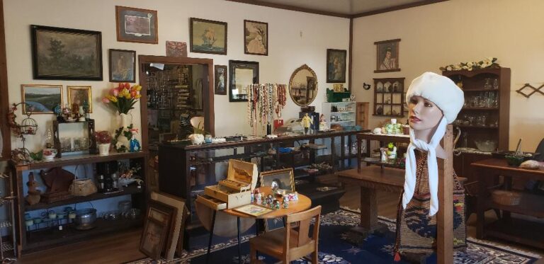 457131995 122093921144509783 8852184900841611253 n 768x373