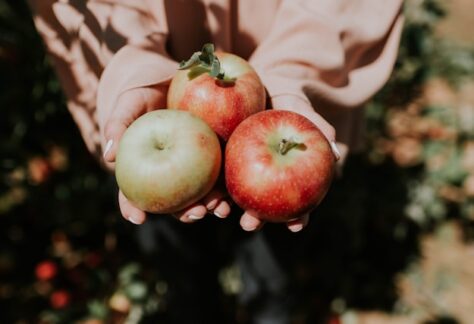 Apples in a woman's hand