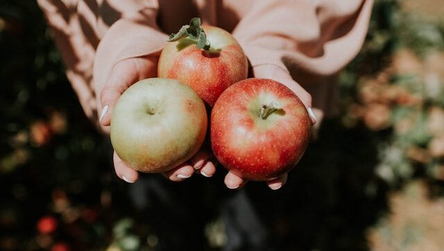Apples in a woman's hand