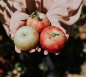 Apples in a woman's hand